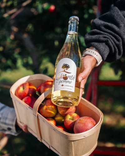 Panier de pommes et bouteille de cidre.