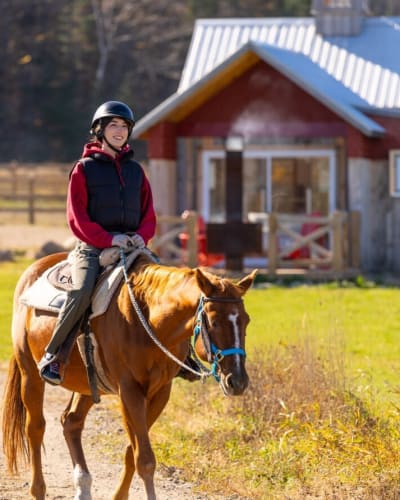 Experience Horse Riding