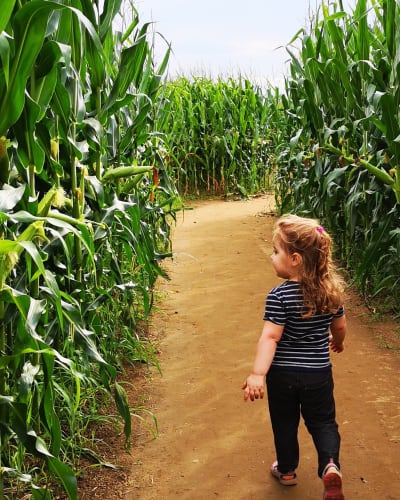 Le Grand Labyrinthe de Lanaudière - Ferme Guy Rivest