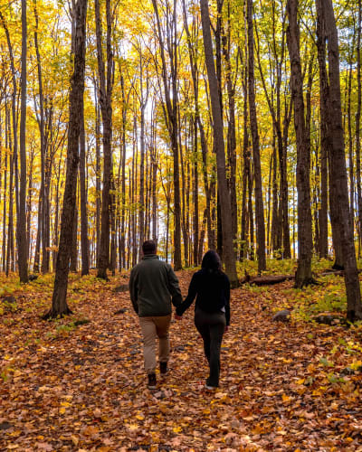 Couple marchant dans un paysage coloré d'automne.