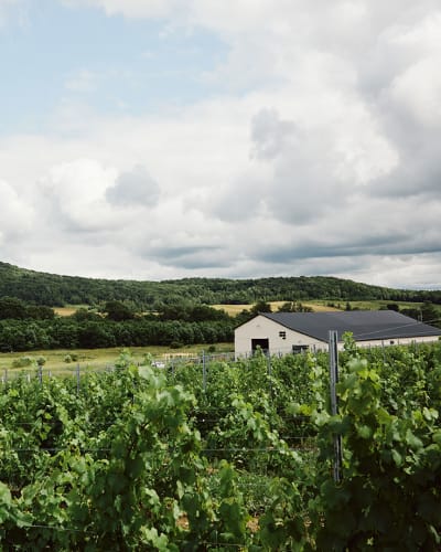 Maison agricole Joy Hill : landscape