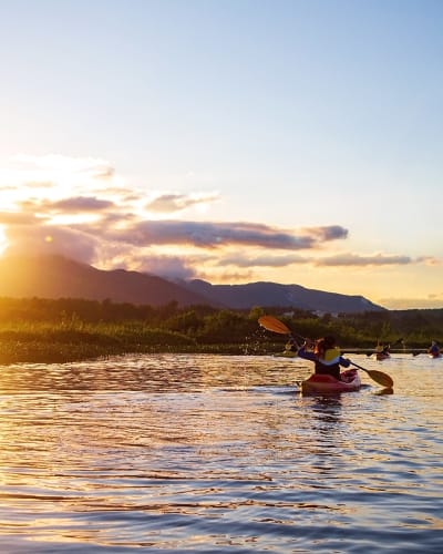 Tours guidés en Kayak