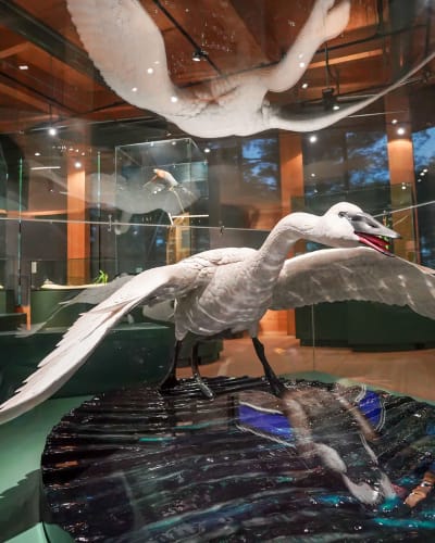 Exposition « Entre Ciel et Terre »