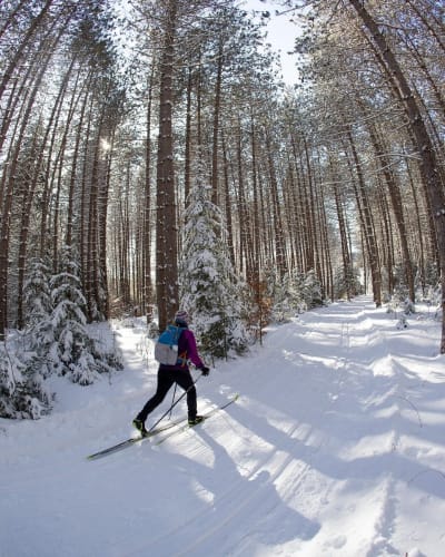 Marathon Canadien de Ski