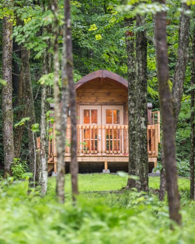 POD in summer.