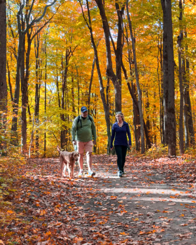 Randonnée au Mont Rigaud.