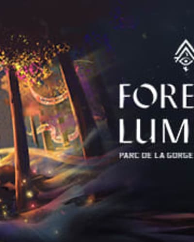 Forfait Foresta Lumina