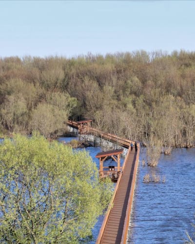 Passerelle en bois au dessus d'un plan d'eau au printemps.