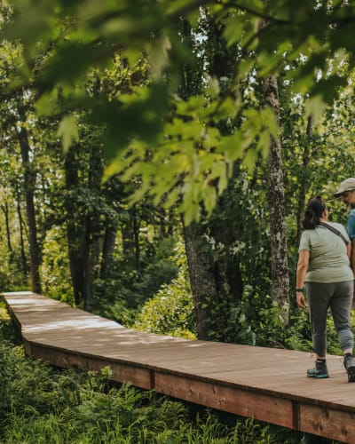 Parc national de Plaisance - A couple walking in the forest