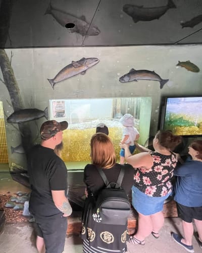 Visiteurs observant le passage à saumon.