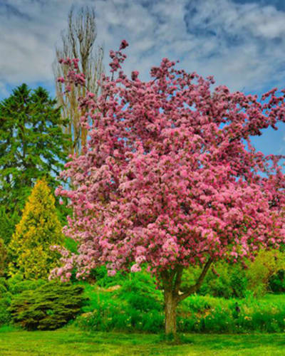 agrotourisme_et_terroir_de_la_region_de_nicolet_yamaska_1