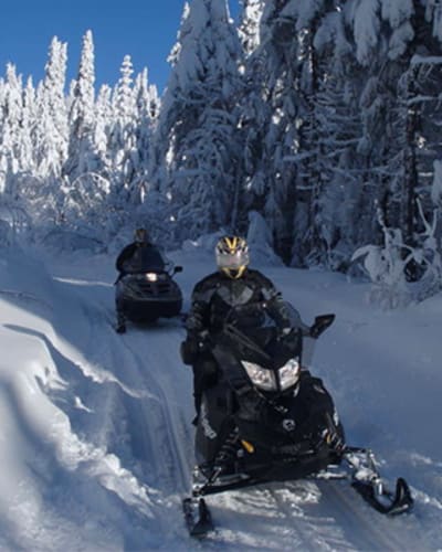 artic_aventure_1