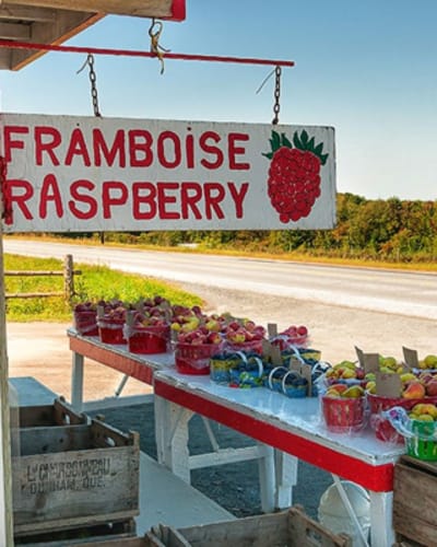 au_paradis_des_fruits_dunham_1