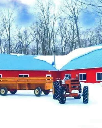 cabane_a_sucre_jacques_gregoire_1