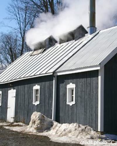cabane_a_sucre_oswald_1