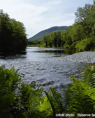 camping_de_la_reserve_faunique_de_matane_1