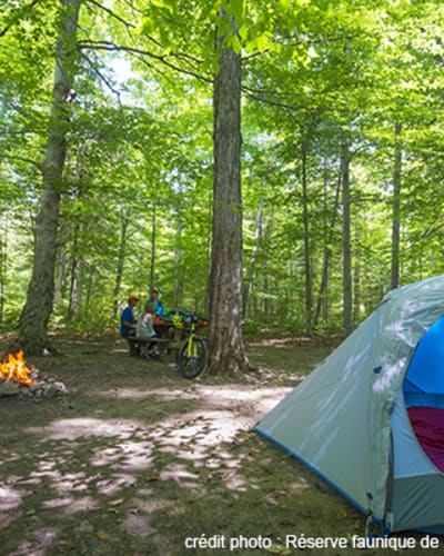 camping_de_la_reserve_faunique_de_papineau_labelle_1