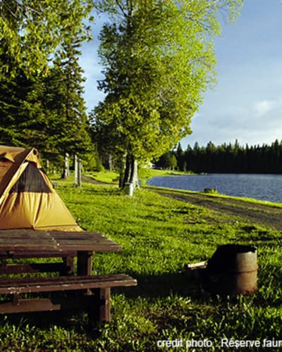 camping_de_la_reserve_faunique_de_rimouski_1
