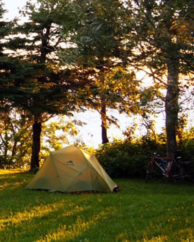 camping_griffon_1
