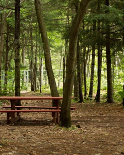 camping_h2o_1