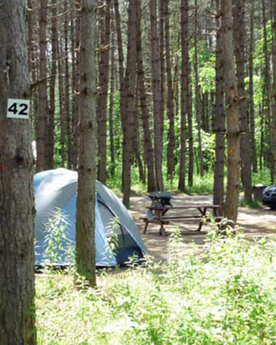 camping_le_fou_du_roi_1