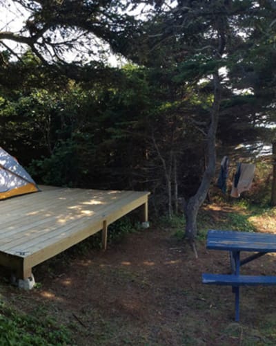 camping_parc_de_gros_cap_1
