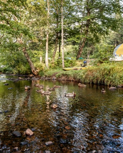 camping_stoneham_1