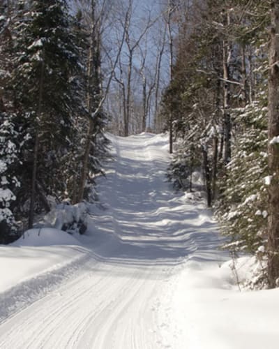 centre_de_ski_de_fond_de_lesterel_hors_limite_1_h