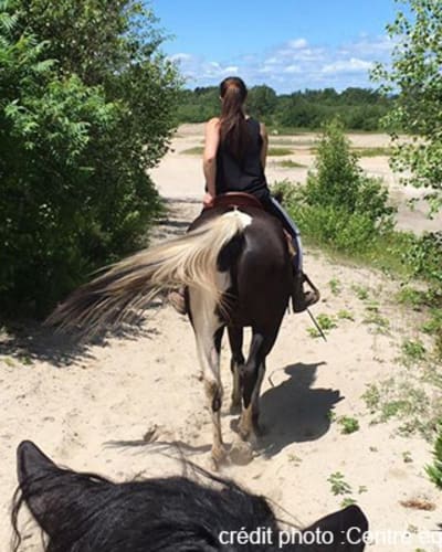 centre_dequitation_ranch_chez_real_1