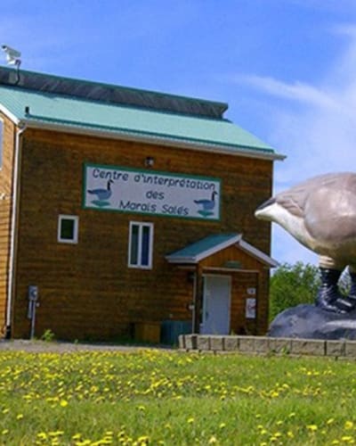 centre_dinterpretation_des_marais_sales_1