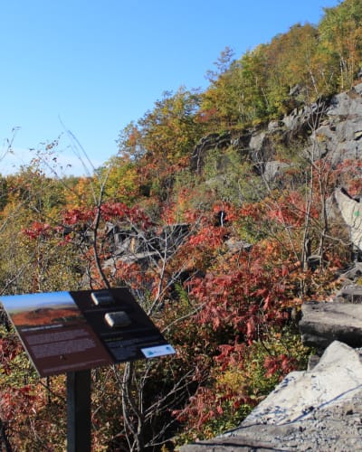 centre_dinterpretation_du_milieu_ecologique_cime_du_haut_richelieu_1_a