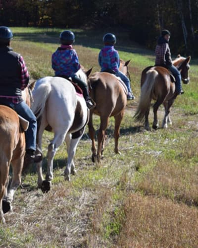 centre_equestre_aurelie_piche_1