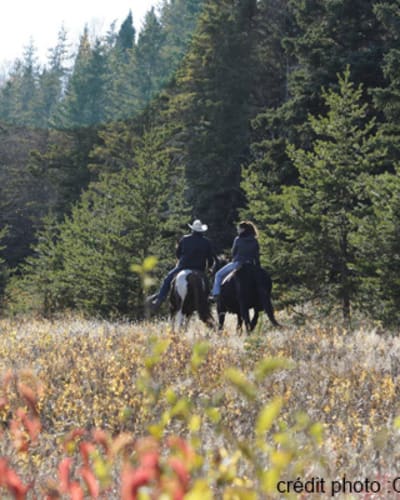 centre_equestre_nature_enr_1