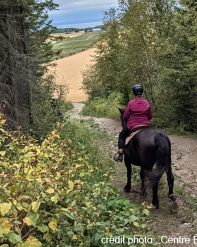 centre_equestre_saint_eloi_1