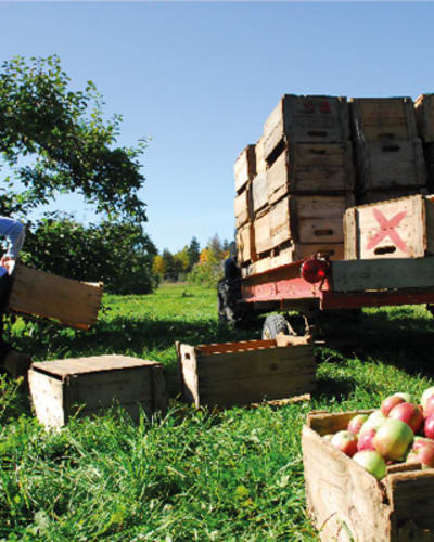 cidrerie_verger_pedneault___economusee_de_la_pomiculture_1