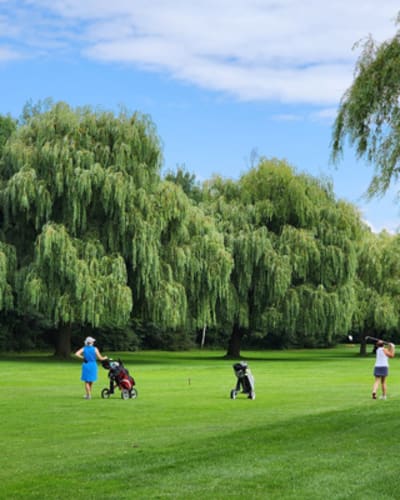 club_de_golf_mont_saint_gregoire_1