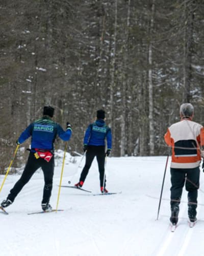 club_de_ski_de_fond_rapido_1_h