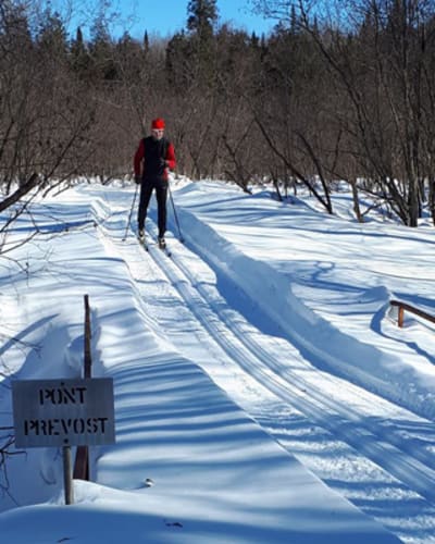 club_de_ski_de_fond_thetford_mines_1_h