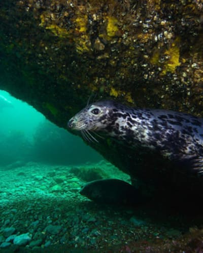 club_nautique_de_perce_1