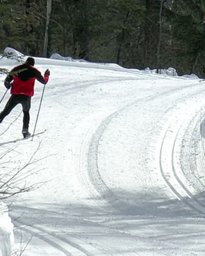 club_perce_neige_de_begin_1_h