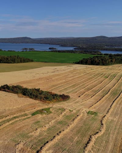 club_vtt_de_la_matapedia_1