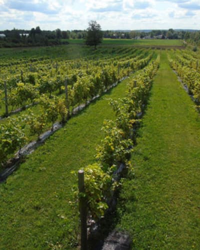 domaine_small_1