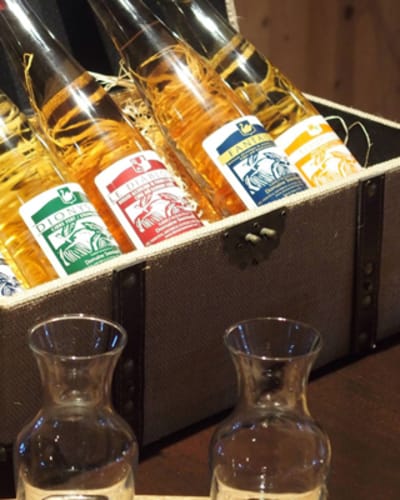 domaine_steinbach___cirdrerie_gite_verger_1