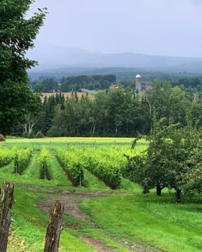 domaine_valbrome_1