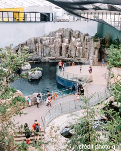espace_pour_la_vie__biodome_1