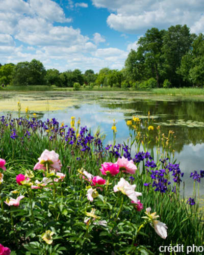 espace_pour_la_vie__jardin_botanique_de_montreal_1