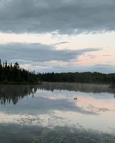 etang_de_peche_lac_du_repos_1