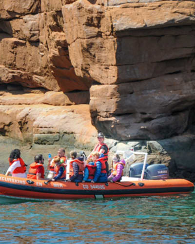 excursions_en_mer_inc_1