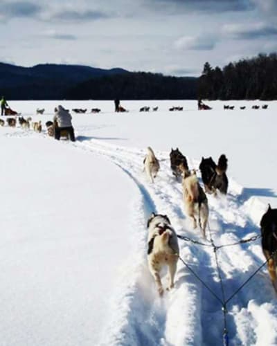 expedition_reve_blanc_1