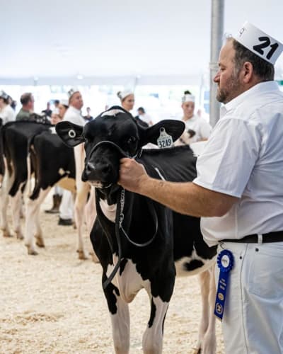 exposition_agricole_regionale_rive_nord_1